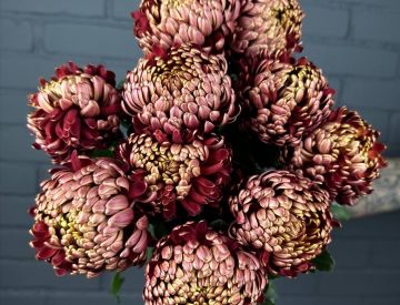 Шикарная Хризантема Бигуди Ред от 138 рублей!